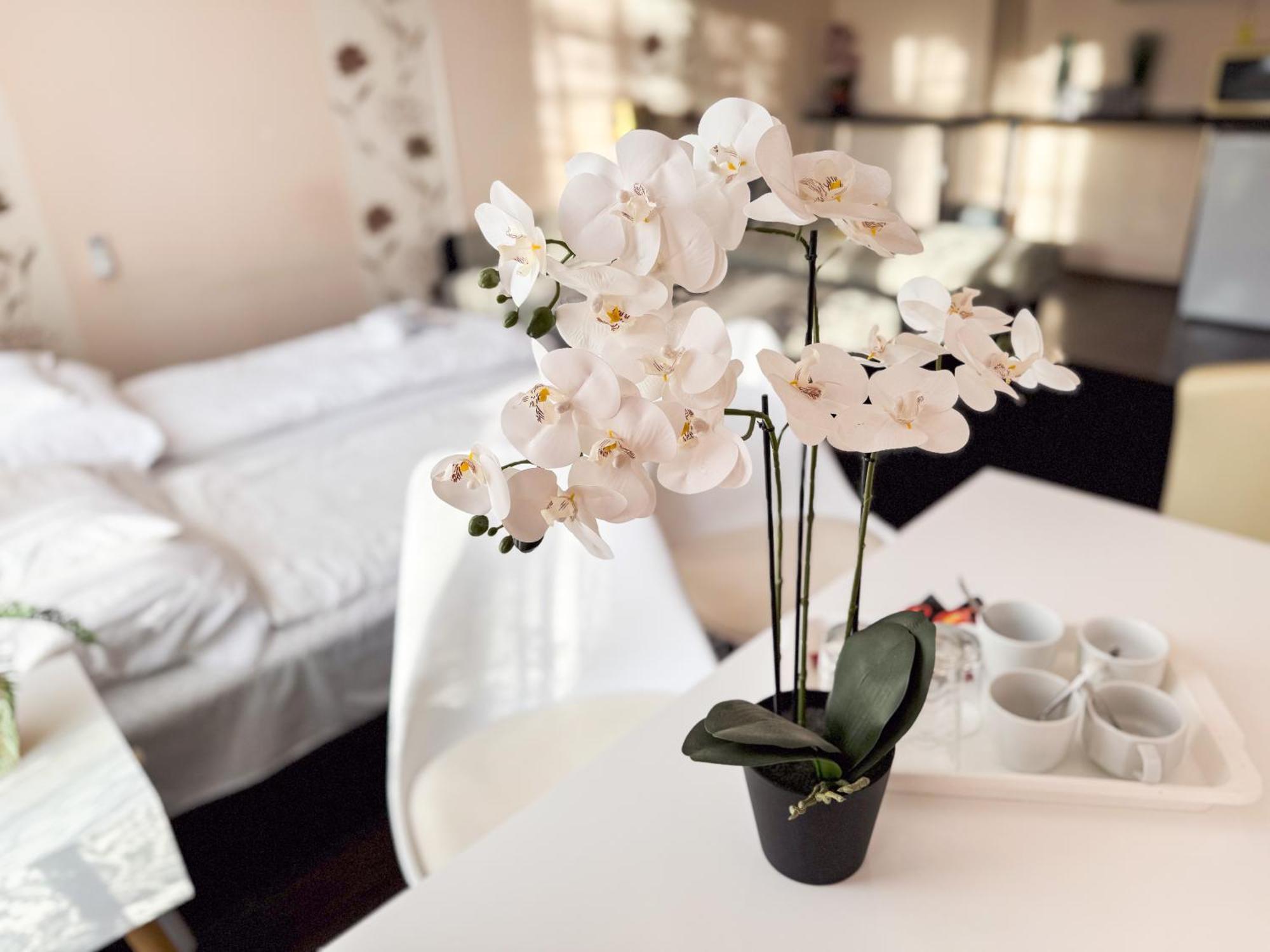 Ejjelibagoly Vendeghaz Hotel Szentes Buitenkant foto