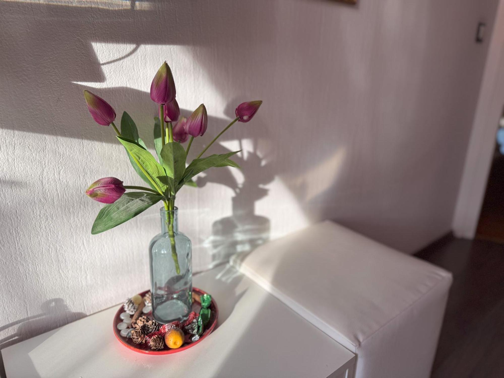 Ejjelibagoly Vendeghaz Hotel Szentes Buitenkant foto